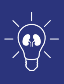 Lightbulb icon with Kidneys